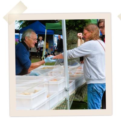 Kkbt Farmers Market