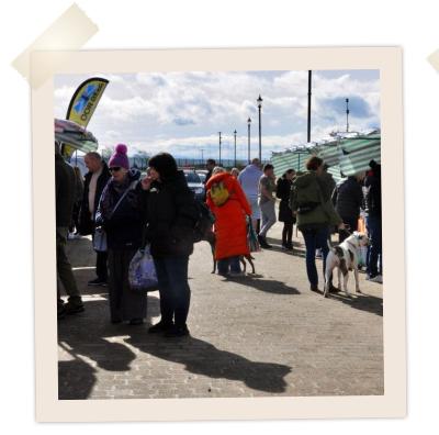 Early in the Season at the Market