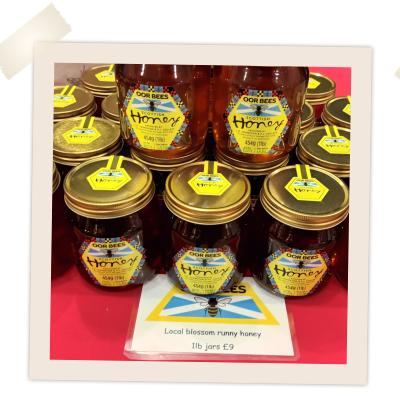 Oor Bees at Langholm