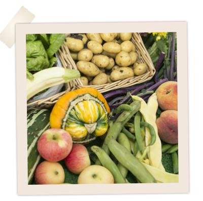 Dumfries veg